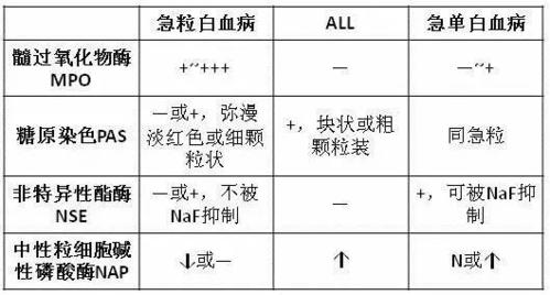 怎么判断自己有无白血病