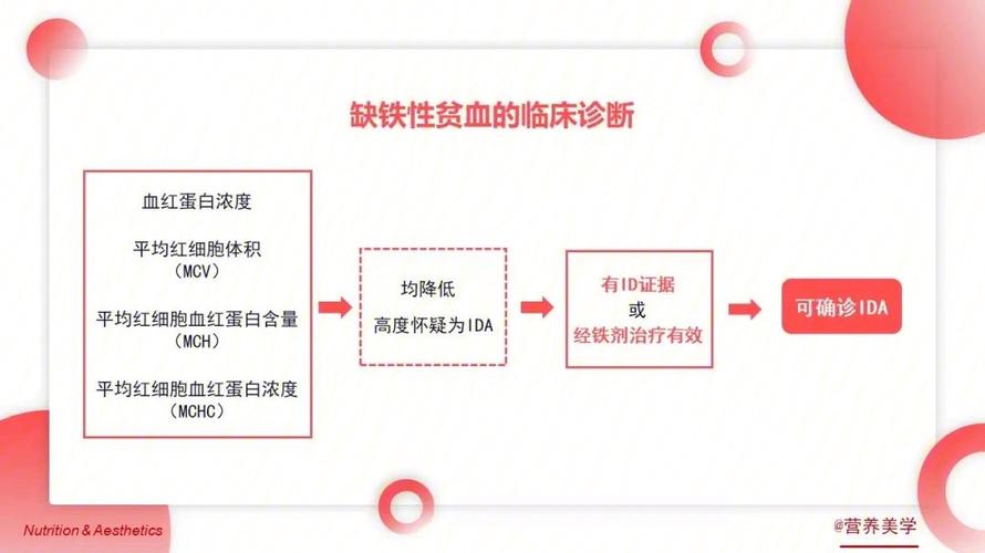 怎么确诊增生性贫血病因