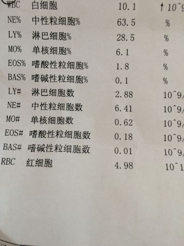 怎么判断急性慢性白血病