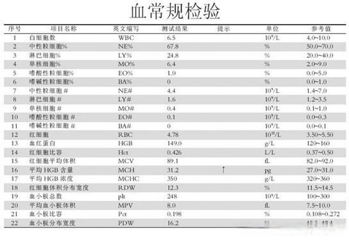 怎么判断急性慢性白血病