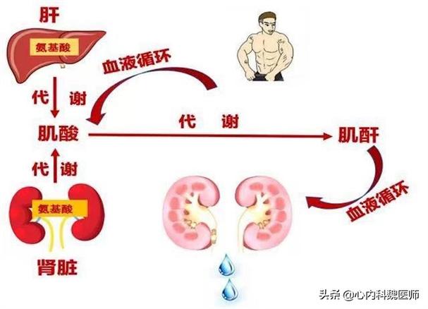 低龄尿毒症是怎样引起的