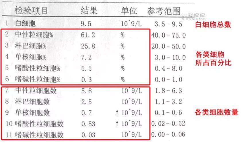 怎么识别宝宝有没有贫血