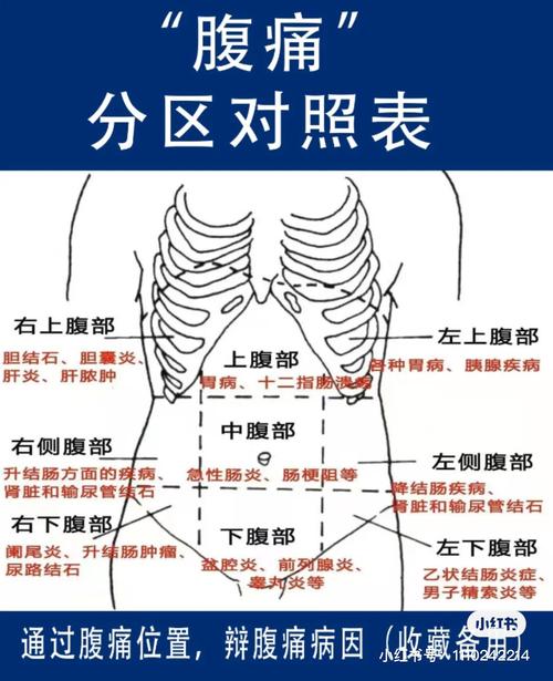 肚子右边疼不是尿毒症吧