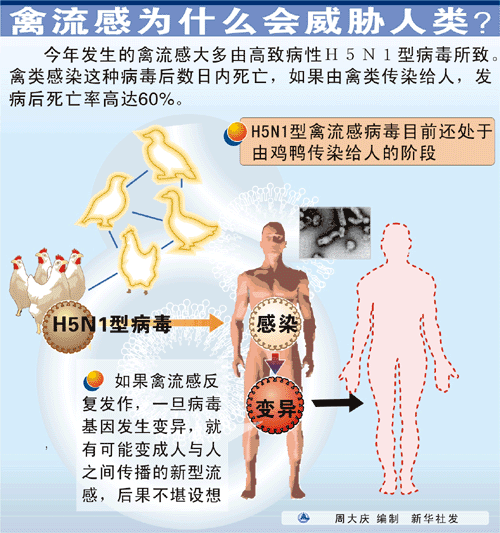 禽流感会造成水质污染吗