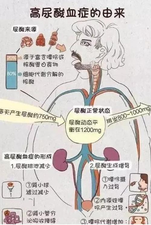 痛风对身体有哪些危害性