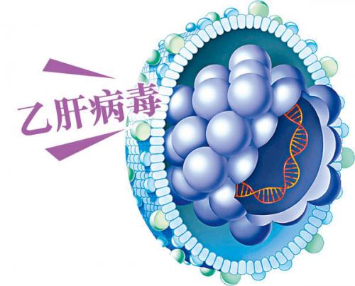 打喷嚏能传染戊肝乙肝吗