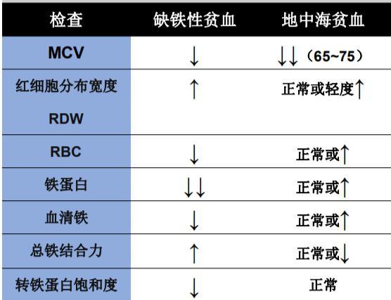 怎么判断贫血程度