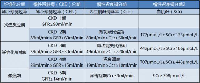 典型的尿毒症有哪些