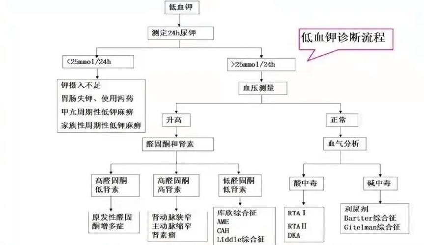 低血钾是不是尿毒症