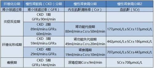 得肾病多久变尿毒症