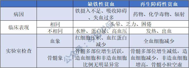 贫血严重会导致什么