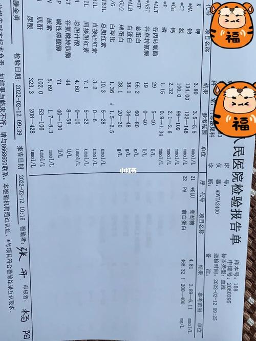 iga肾炎怎么遗传