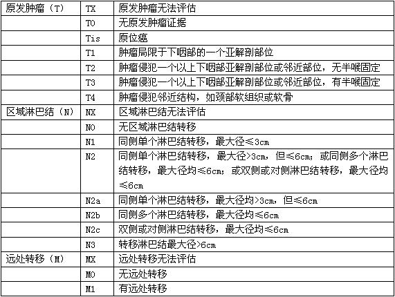 喉癌的病理分期是怎样的