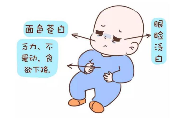 婴儿轻度贫血怎办