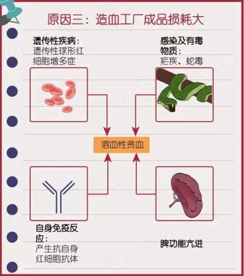 夏天贫血会严重吗