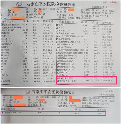 血类风湿因子阳性是什么