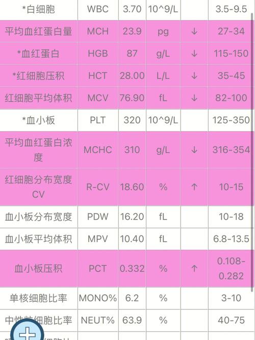 贫血复查需要隔多久