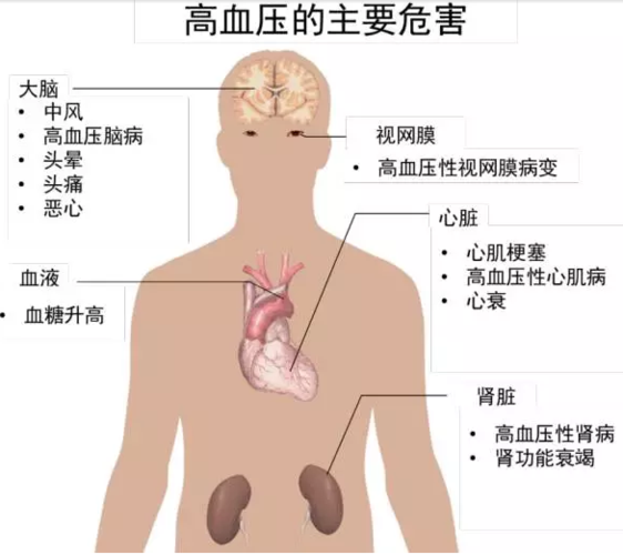 肚胀是心衰还是肾病