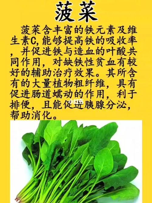 贫血可以吃菠菜吗