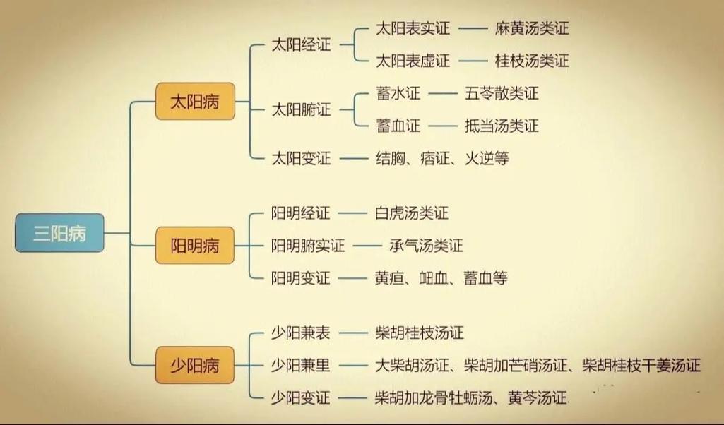 太阳伤寒证是什么