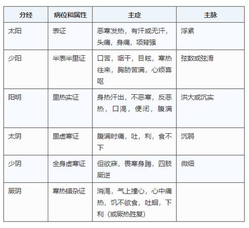 太阳伤寒证是什么