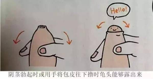 生殖器的形状与快感有关吗？