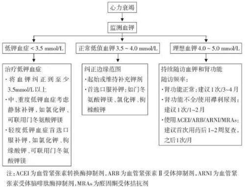 低钾血症如何诱发心衰