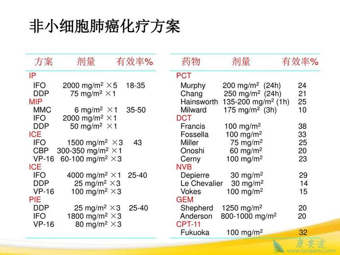 肺癌中晚期治疗的方法