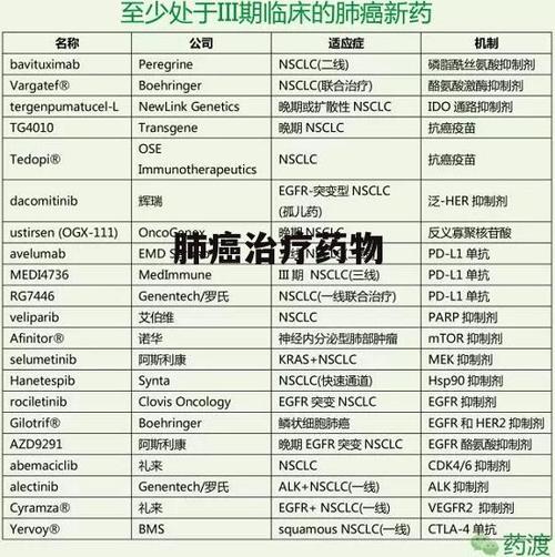 肺癌晚期应该怎么治疗