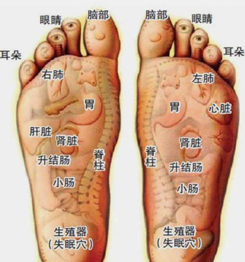 脚底板疼痛是痛风吗