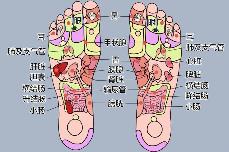 脚底板疼痛是痛风吗