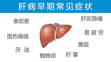 肝硬化的五大早期症状