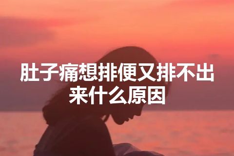 肚子痛想排便又排不出来什么原因