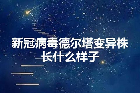 新冠病毒德尔塔变异株长什么样子