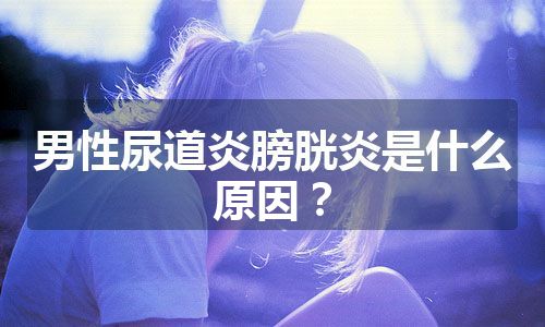 男性尿道炎膀胱炎是什么原因？