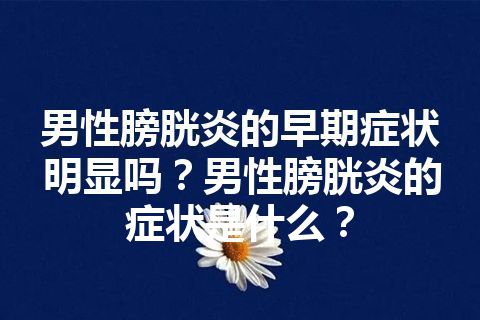 男性膀胱炎的早期症状明显吗？男性膀胱炎的症状是什么？