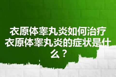 衣原体睾丸炎如何治疗 衣原体睾丸炎的症状是什么？