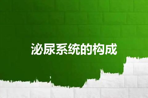 泌尿系统的构成