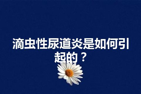 滴虫性尿道炎是如何引起的？