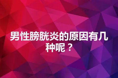 男性膀胱炎的原因有几种呢？