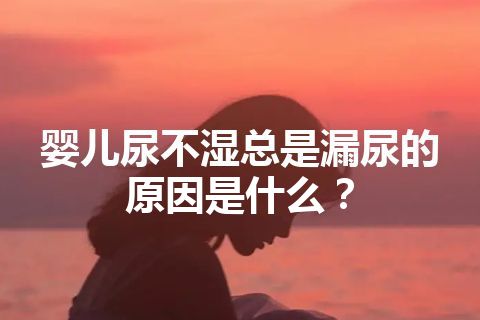 婴儿尿不湿总是漏尿的原因是什么？