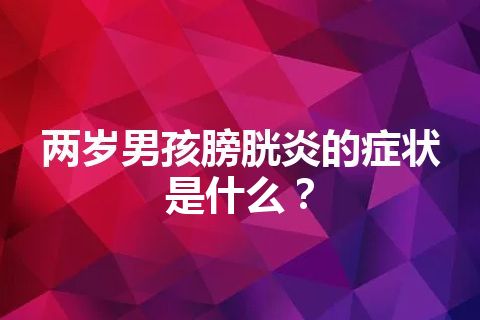 两岁男孩膀胱炎的症状是什么？