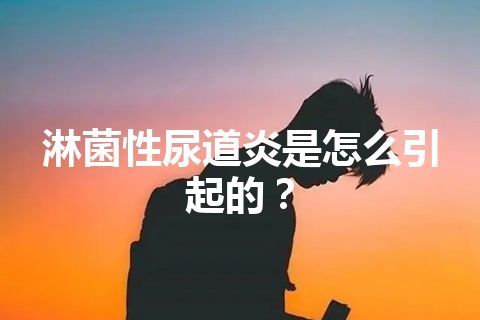 淋菌性尿道炎是怎么引起的？