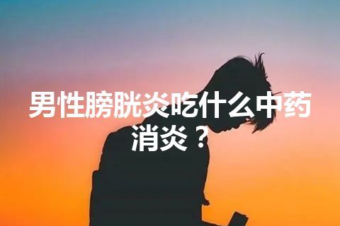 男性膀胱炎吃什么中药消炎？