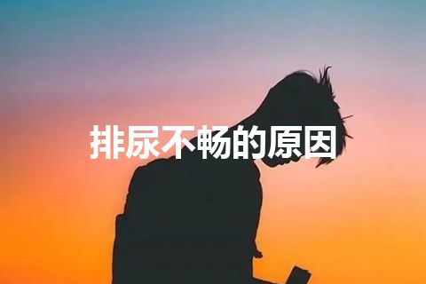 排尿不畅的原因