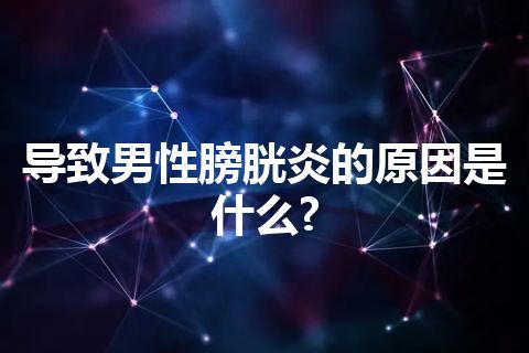 导致男性膀胱炎的原因是什么?