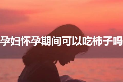 孕妇怀孕期间可以吃柿子吗