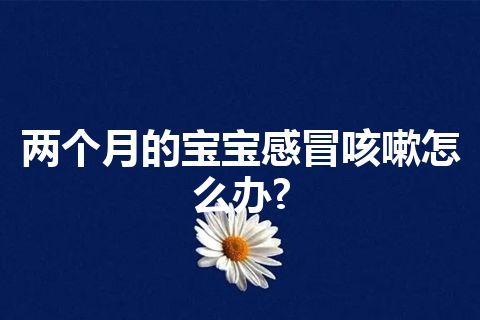 两个月的宝宝感冒咳嗽怎么办?