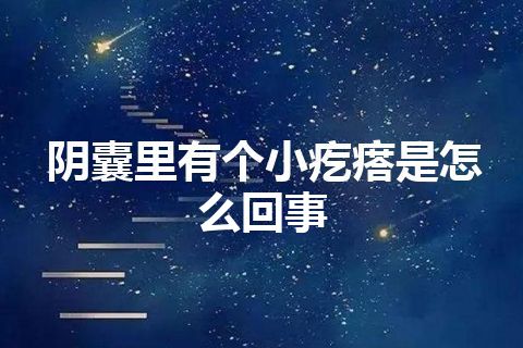 阴囊里有个小疙瘩是怎么回事