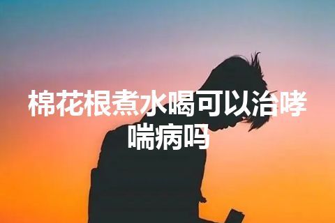 棉花根煮水喝可以治哮喘病吗